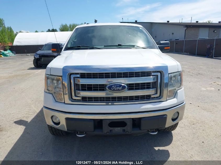 2013 Ford F150 Super Cab VIN: 1FTFX1EF6DFD21097 Lot: 12012477