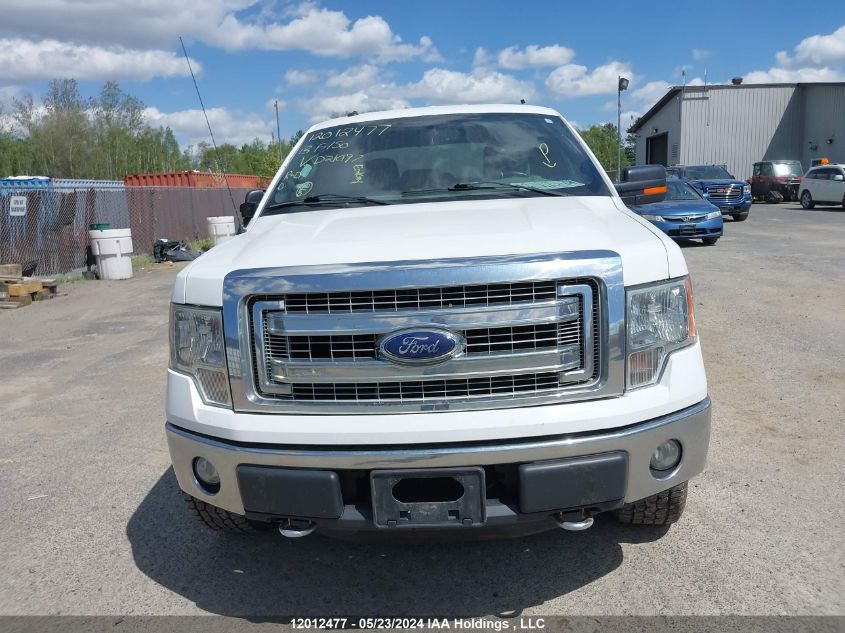 2013 Ford F150 Super Cab VIN: 1FTFX1EF6DFD21097 Lot: 12012477