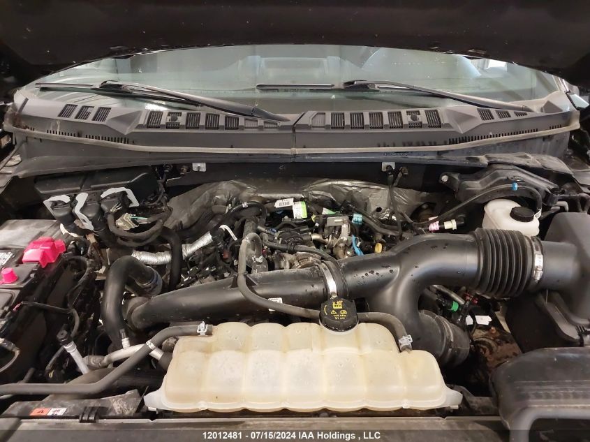 1FTEW1EP2KFB71008 2019 Ford F150 Supercrew