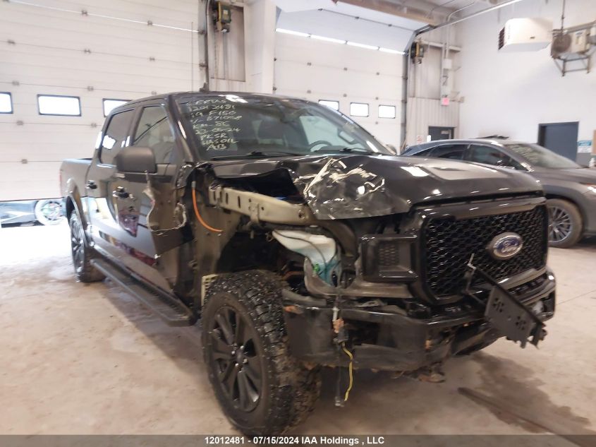 1FTEW1EP2KFB71008 2019 Ford F150 Supercrew