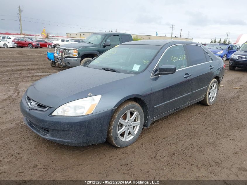 2004 Honda Accord Sdn VIN: 1HGCM66424A800959 Lot: 12012528