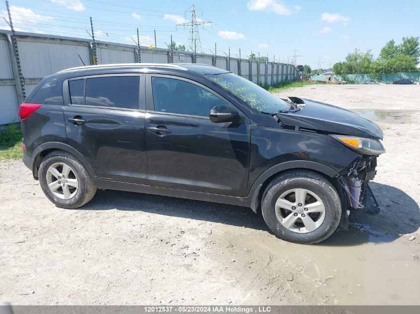 2014 Kia Sportage VIN: KNDPB3AC5E7551056 Lot: 12012537