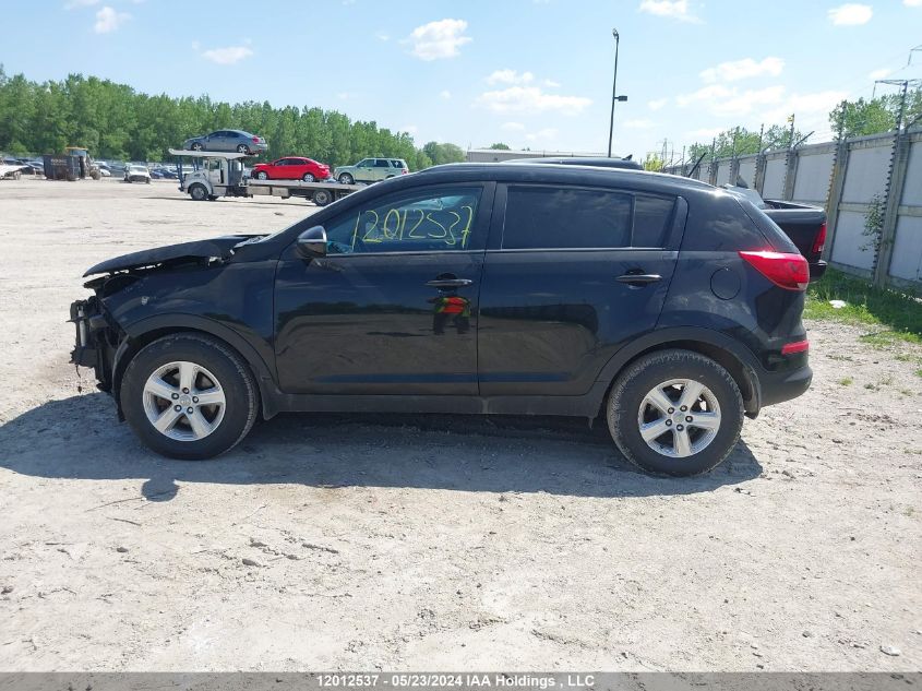 2014 Kia Sportage VIN: KNDPB3AC5E7551056 Lot: 12012537