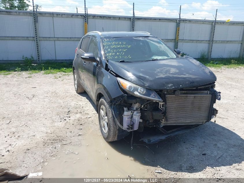 2014 Kia Sportage VIN: KNDPB3AC5E7551056 Lot: 12012537