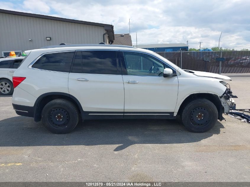 2019 Honda Pilot VIN: 5FNYF6H91KB502754 Lot: 12012570