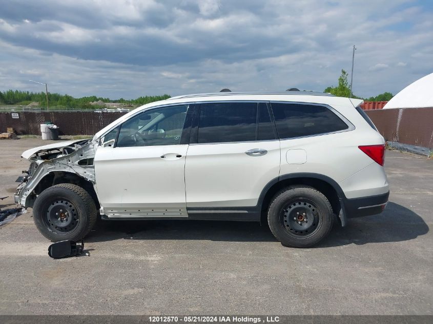 2019 Honda Pilot VIN: 5FNYF6H91KB502754 Lot: 12012570