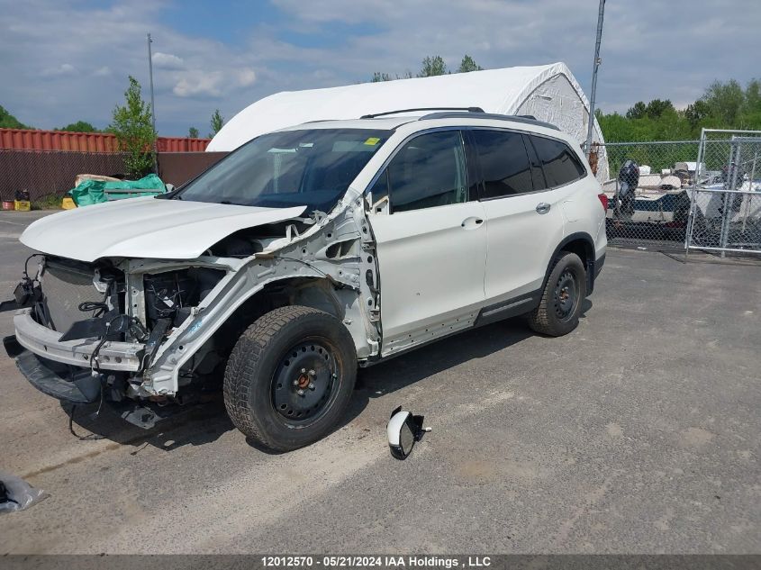 2019 Honda Pilot VIN: 5FNYF6H91KB502754 Lot: 12012570