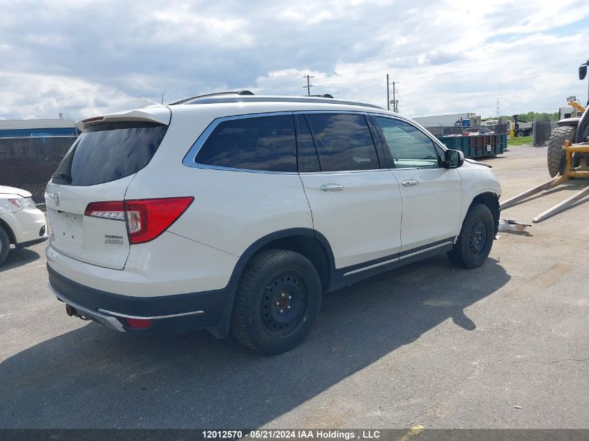 2019 Honda Pilot VIN: 5FNYF6H91KB502754 Lot: 12012570