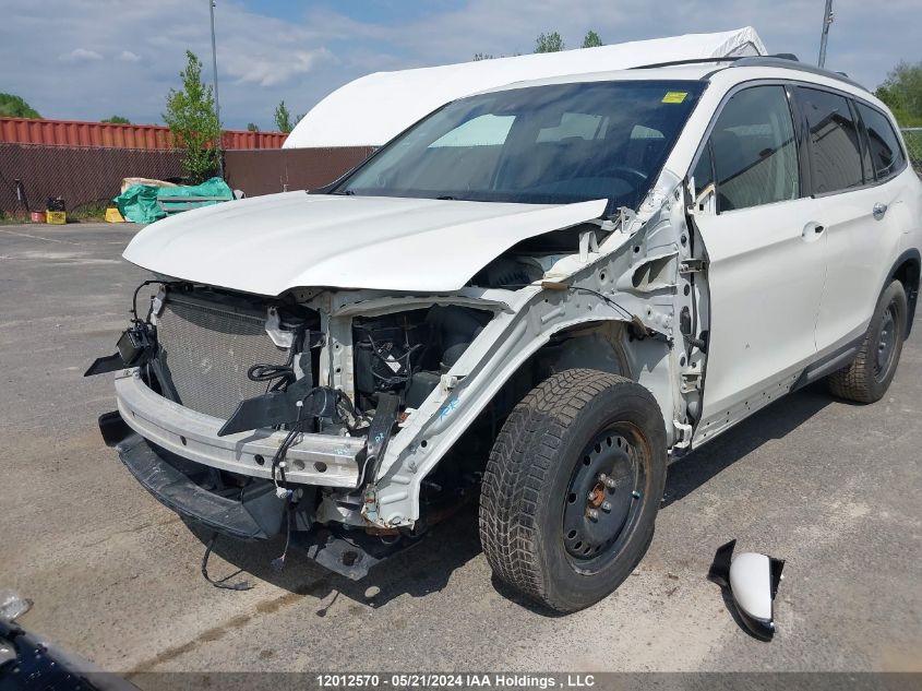 2019 Honda Pilot VIN: 5FNYF6H91KB502754 Lot: 12012570