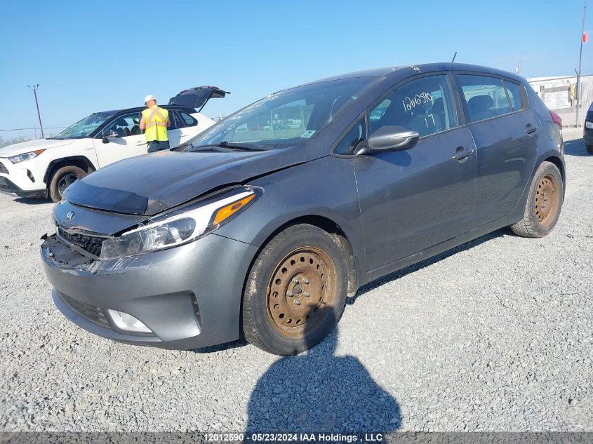 2017 Kia Forte 5-Door VIN: KNAFK5A88H5731731 Lot: 12012590