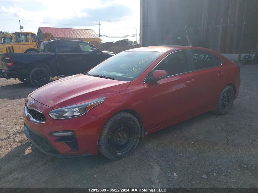 2019 Kia Forte VIN: 3KPF54AD3KE114511 Lot: 12012599