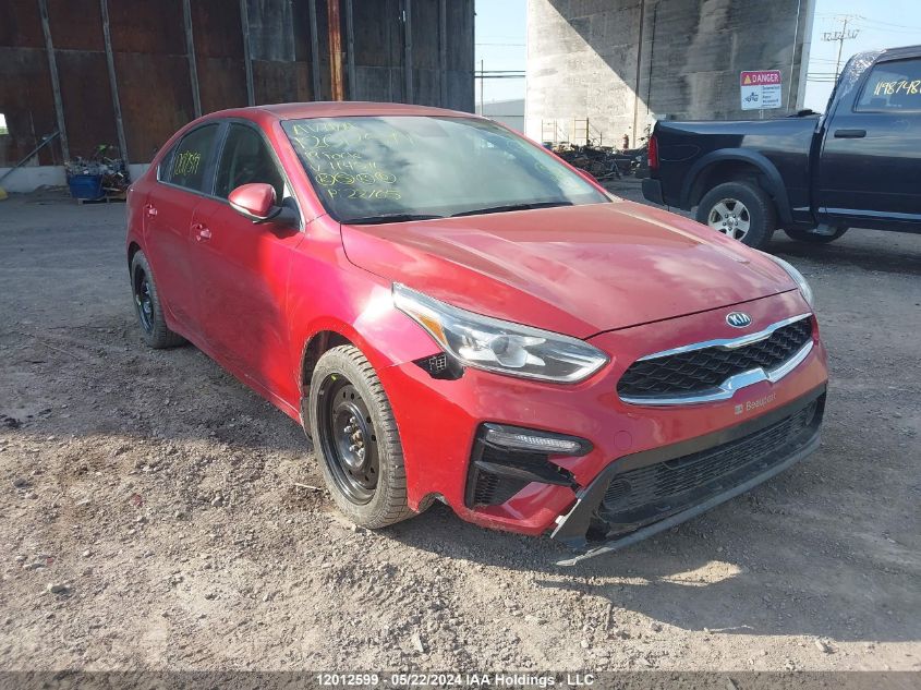 2019 Kia Forte VIN: 3KPF54AD3KE114511 Lot: 12012599