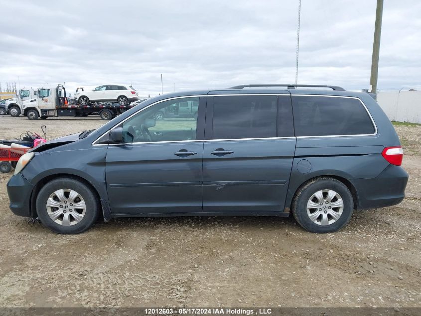 2006 Honda Odyssey Ex VIN: 5FNRL38436B511039 Lot: 12012603