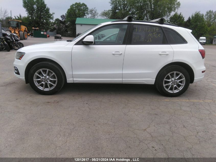 2014 Audi Q5 Premium VIN: WA1CFCFP4EA050283 Lot: 12012617