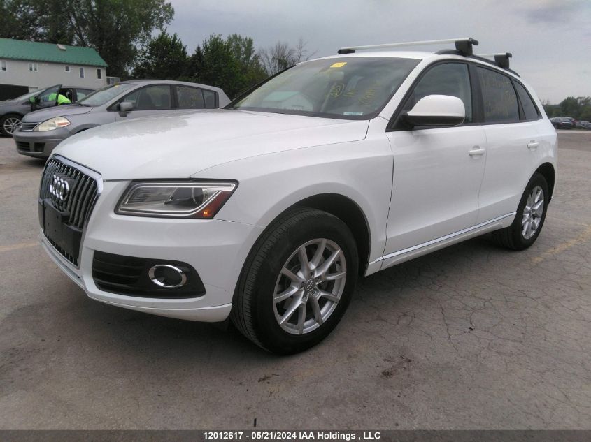 2014 Audi Q5 Premium VIN: WA1CFCFP4EA050283 Lot: 12012617