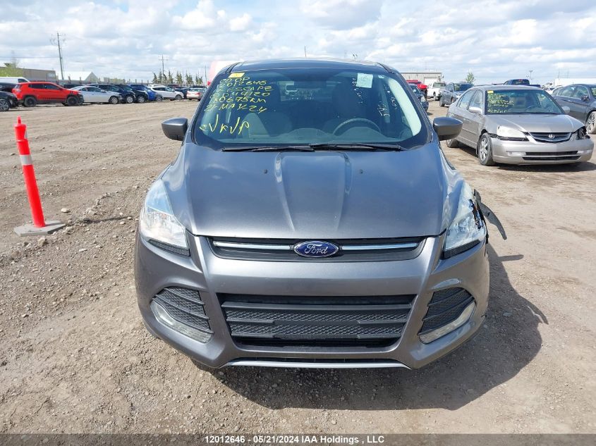 2014 Ford Escape Se VIN: 1FMCU9G93EUD47120 Lot: 12012646