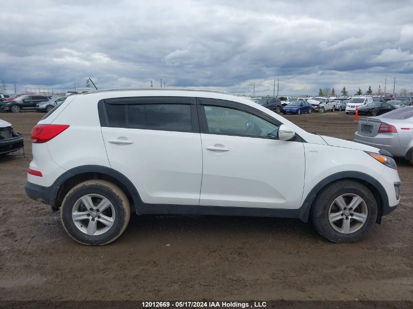 2014 Kia Sportage VIN: KNDPBCAC5E7600689 Lot: 12012669