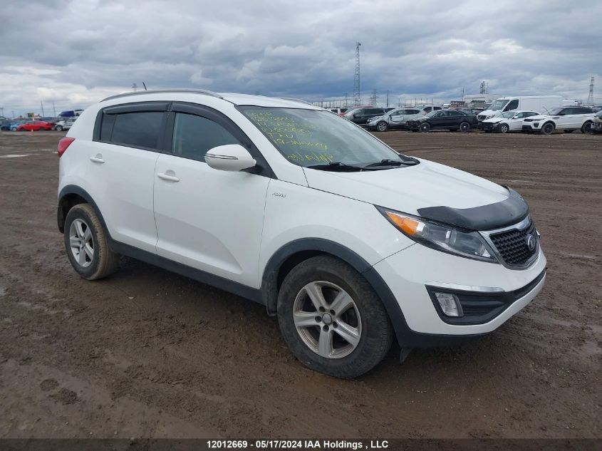 2014 Kia Sportage VIN: KNDPBCAC5E7600689 Lot: 12012669