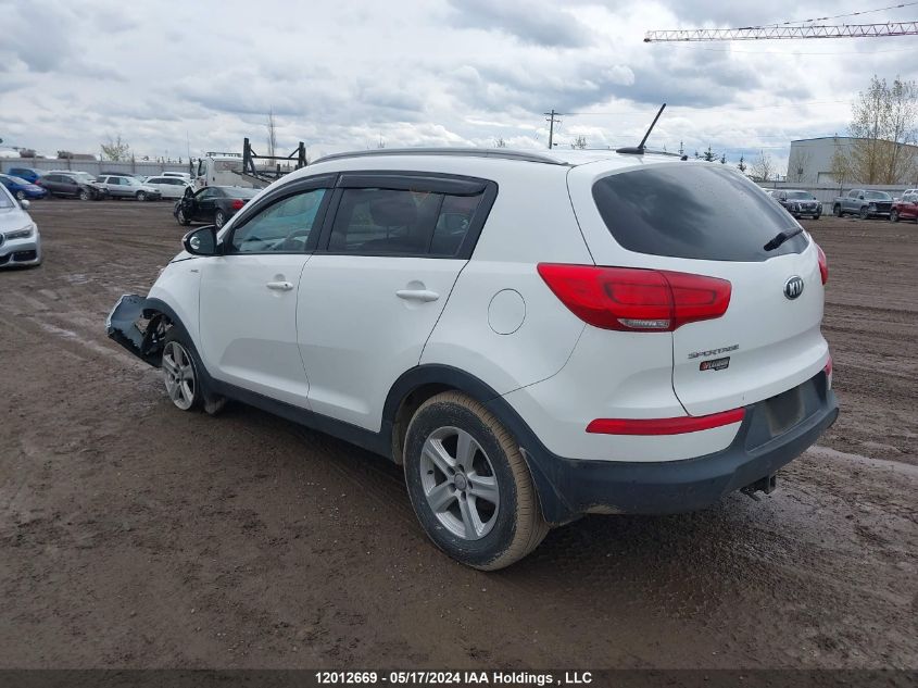 2014 Kia Sportage VIN: KNDPBCAC5E7600689 Lot: 12012669