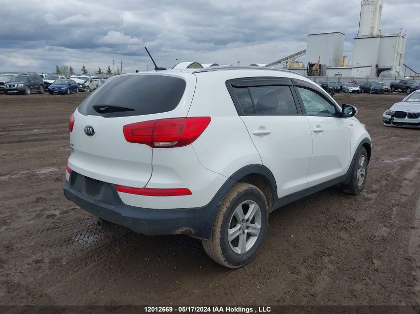 2014 Kia Sportage VIN: KNDPBCAC5E7600689 Lot: 12012669