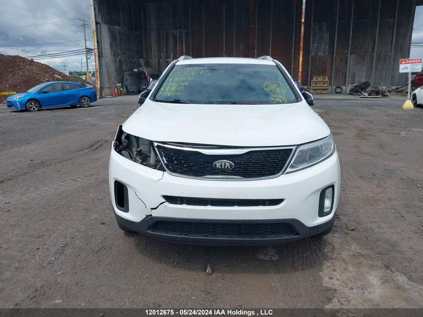 2014 Kia Sorento VIN: 5XYKTDA75EG451719 Lot: 12012675