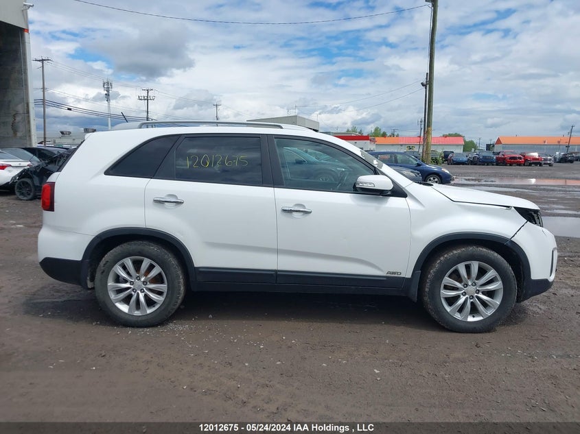 2014 Kia Sorento VIN: 5XYKTDA75EG451719 Lot: 12012675