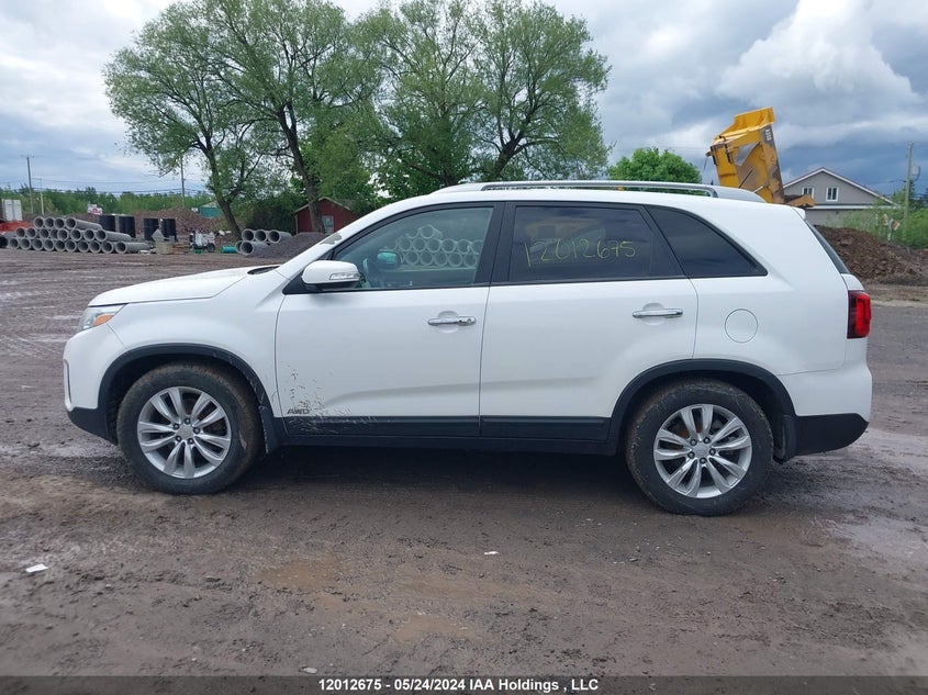 2014 Kia Sorento VIN: 5XYKTDA75EG451719 Lot: 12012675