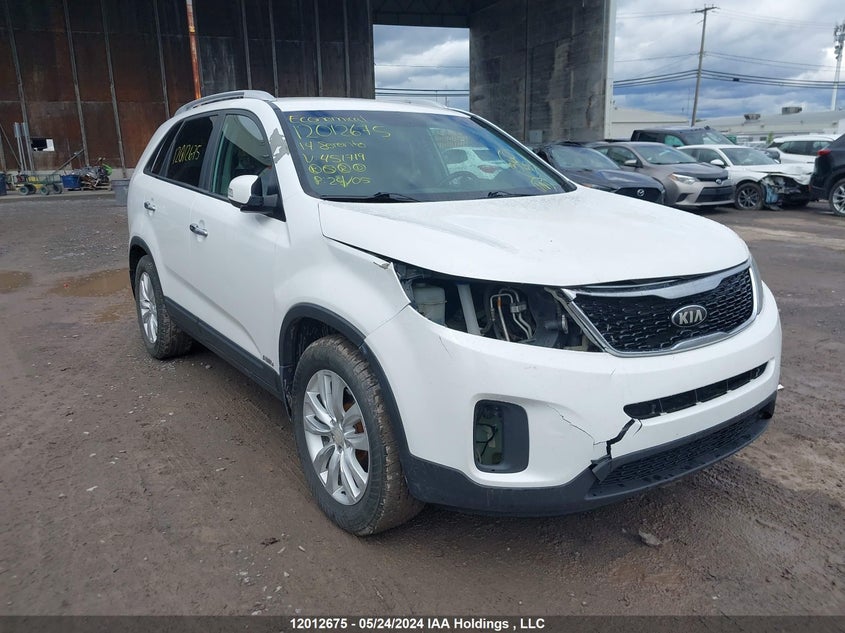 2014 Kia Sorento VIN: 5XYKTDA75EG451719 Lot: 12012675
