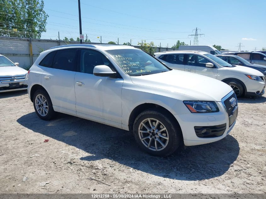 2011 Audi Q5 VIN: WA1VFCFP6BA115445 Lot: 12012758