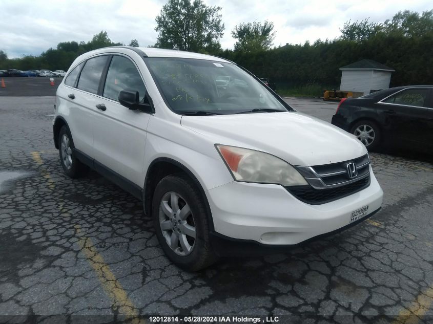 2010 Honda Cr-V Lx VIN: 5J6RE4H31AL817860 Lot: 12012814