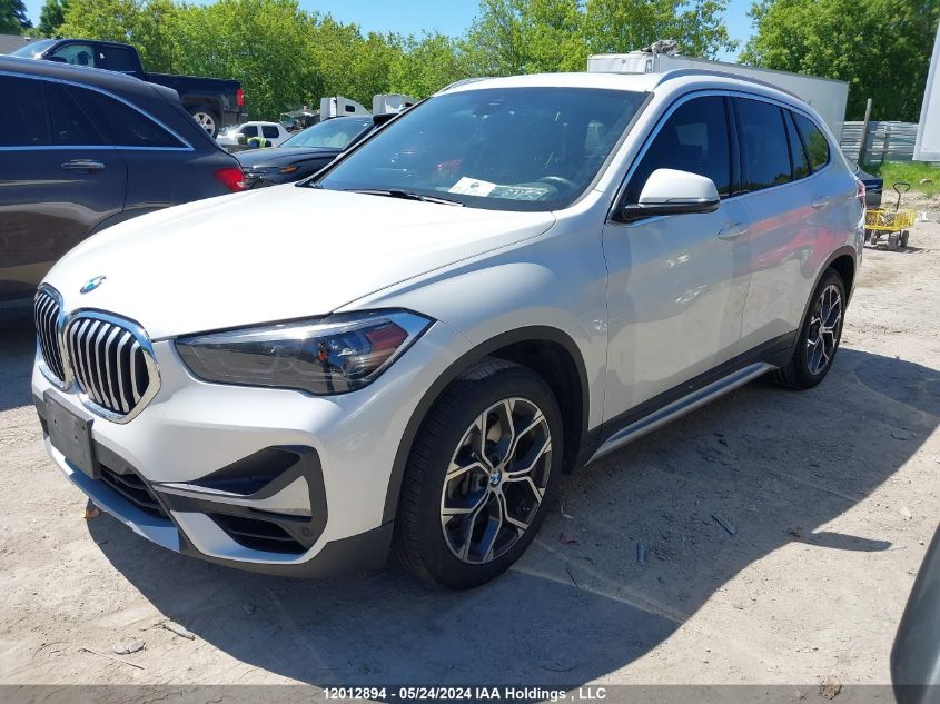 2020 BMW X1 VIN: WBXJG9C01L5N96844 Lot: 12012894