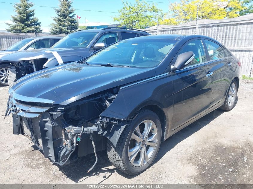 2013 Hyundai Sonata Se/Limited VIN: 5NPEC4ACXDH602703 Lot: 12012922