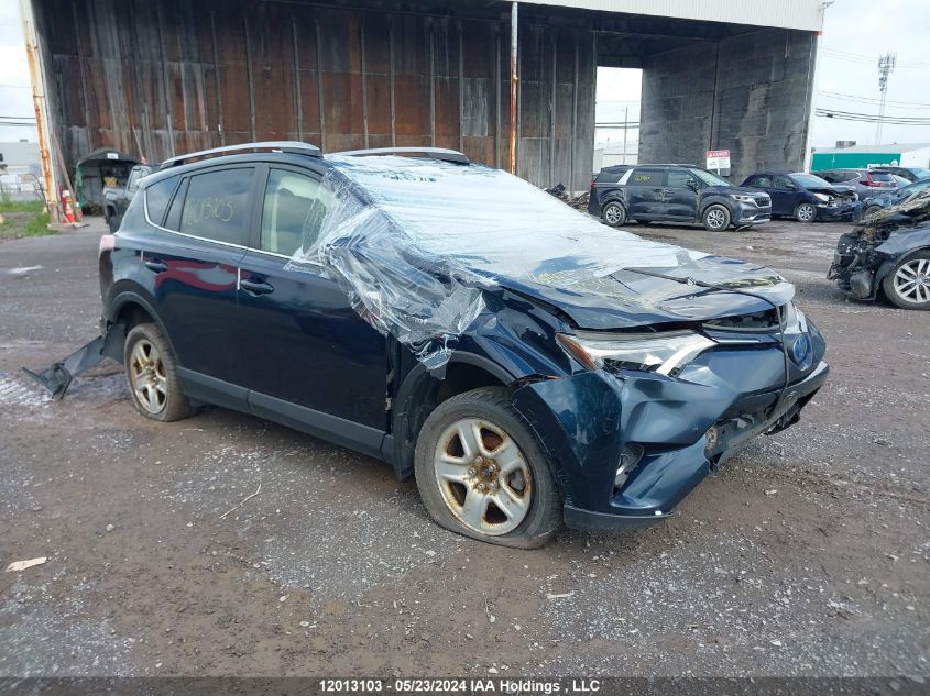 2017 Toyota Rav4 VIN: JTMRJREV4HD068688 Lot: 12013103