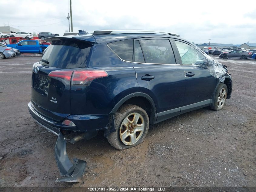 2017 Toyota Rav4 VIN: JTMRJREV4HD068688 Lot: 12013103