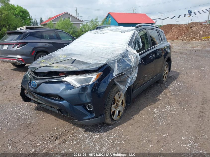 2017 Toyota Rav4 VIN: JTMRJREV4HD068688 Lot: 12013103