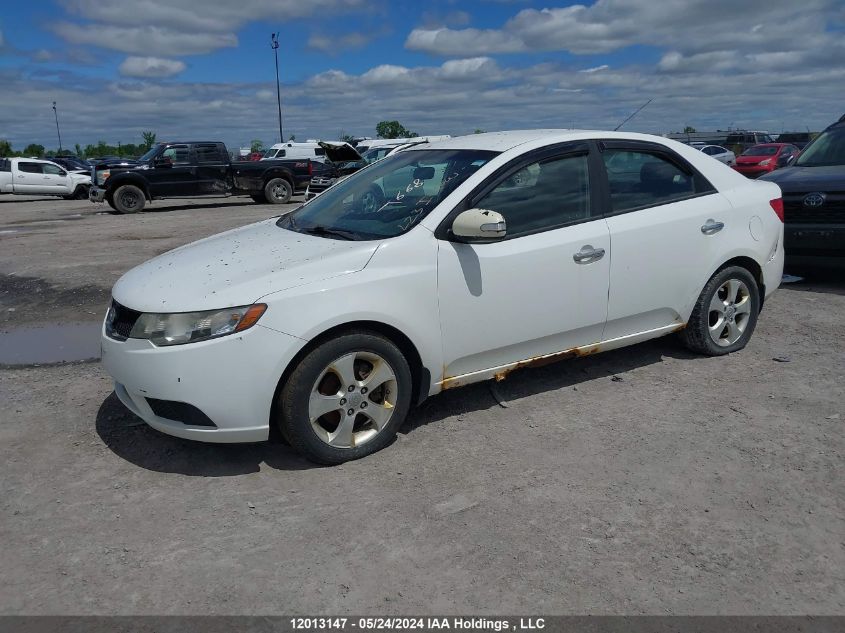 2010 Kia Forte VIN: KNAFU4A28A5251288 Lot: 12013147