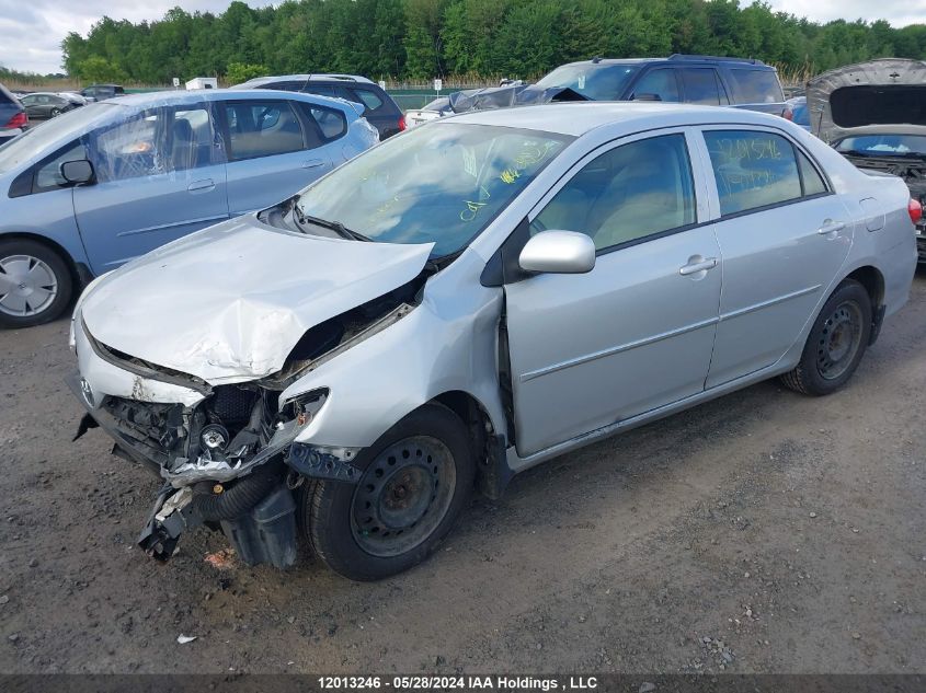 2013 Toyota Corolla VIN: 2T1BU4EE0DC043810 Lot: 12013246