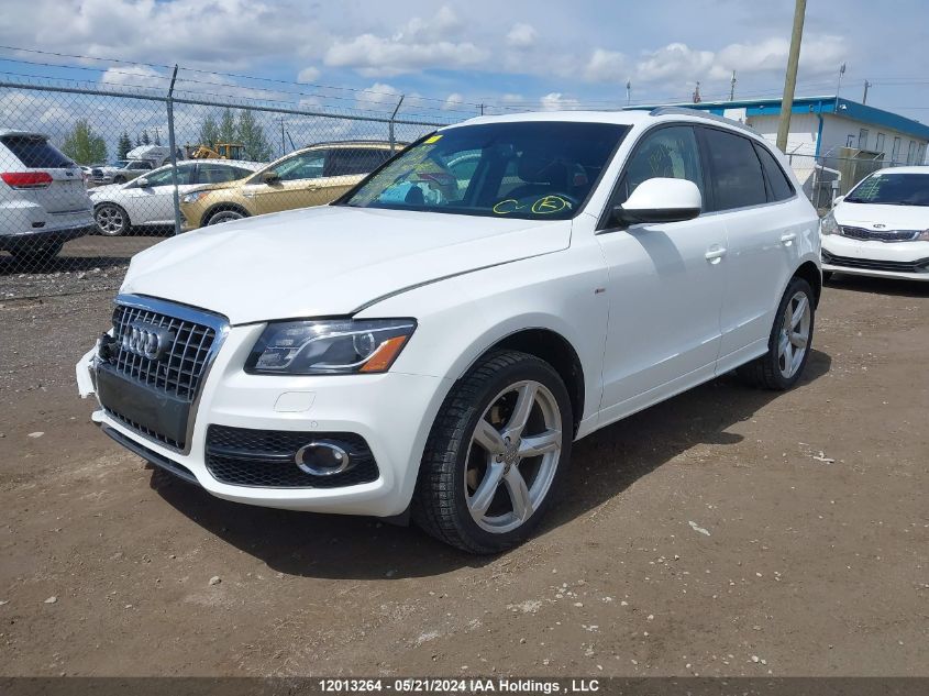 2012 Audi Q5 Prestige VIN: WA1WFCFP6CA130565 Lot: 12013264