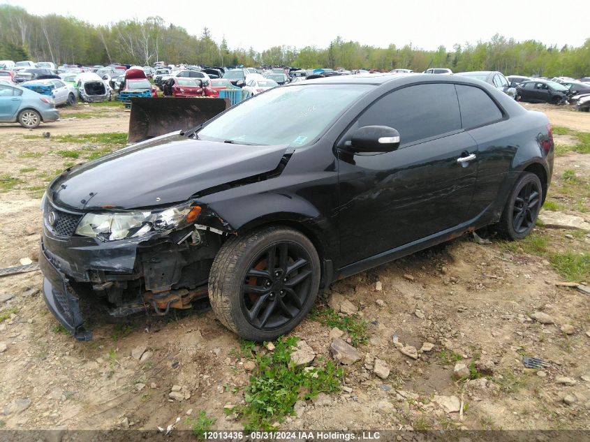 2010 Kia Forte Koup VIN: KNAFW6A31A5236498 Lot: 12013436