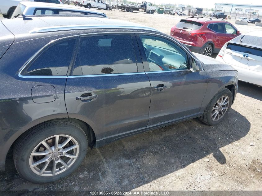 2010 Audi Q5 VIN: WA1LKCFP9AA044663 Lot: 12013555