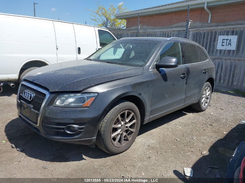 2010 Audi Q5 VIN: WA1LKCFP9AA044663 Lot: 12013555