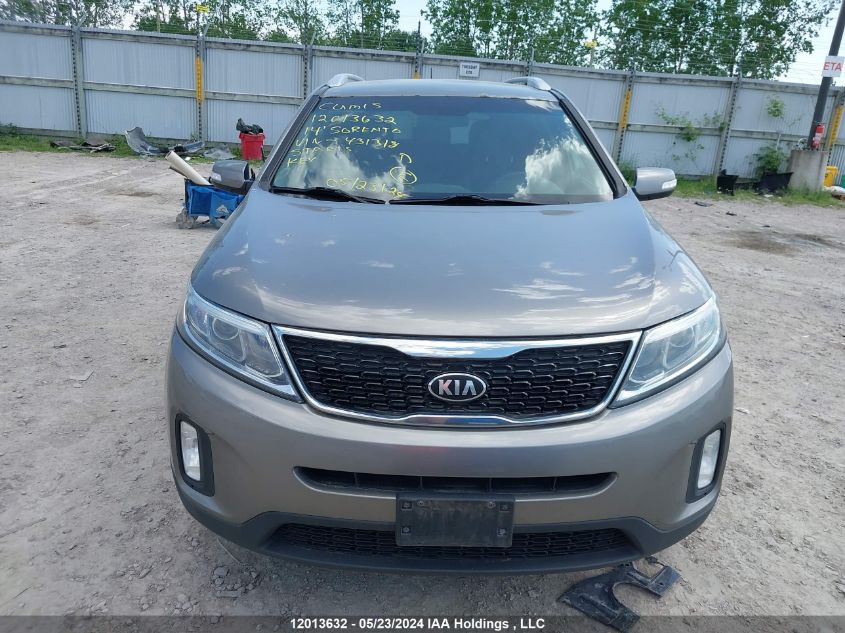 2014 Kia Sorento VIN: 5XYKTCA66EG431318 Lot: 12013632