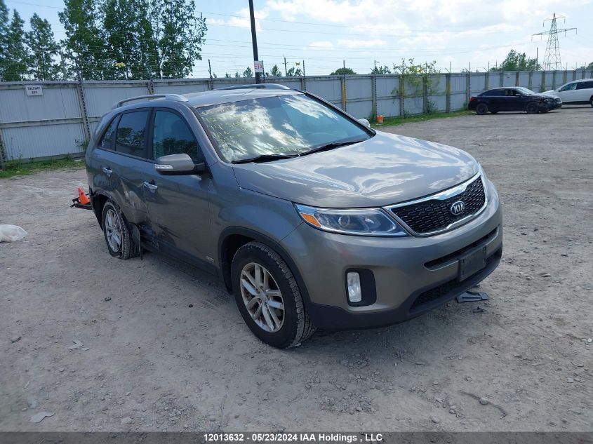 2014 Kia Sorento VIN: 5XYKTCA66EG431318 Lot: 12013632