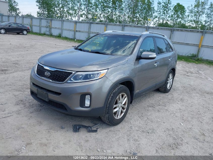 2014 Kia Sorento VIN: 5XYKTCA66EG431318 Lot: 12013632