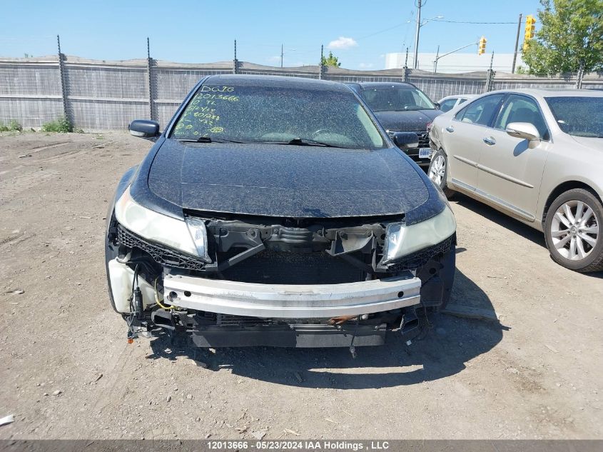 2010 Acura Tl VIN: 19UUA9F58AA801388 Lot: 12013666