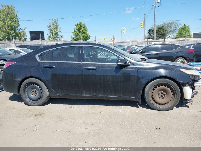 2010 Acura Tl VIN: 19UUA9F58AA801388 Lot: 12013666