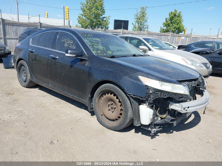 2010 Acura Tl VIN: 19UUA9F58AA801388 Lot: 12013666