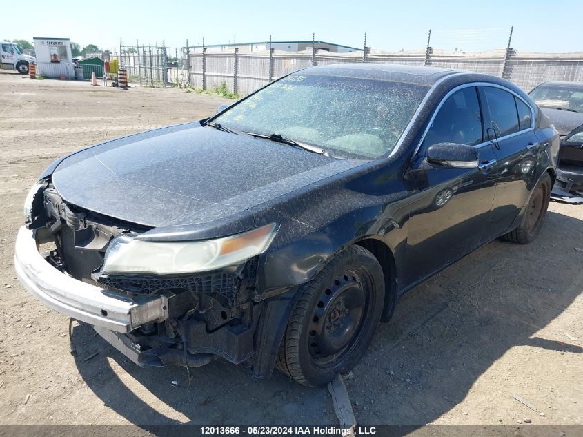 2010 Acura Tl VIN: 19UUA9F58AA801388 Lot: 12013666