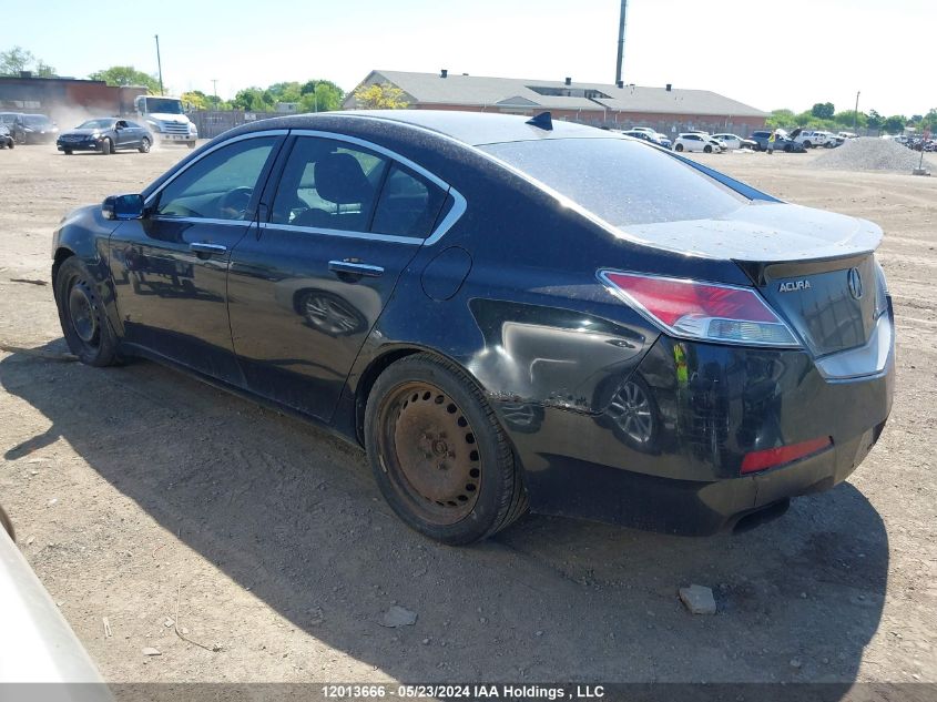 2010 Acura Tl VIN: 19UUA9F58AA801388 Lot: 12013666