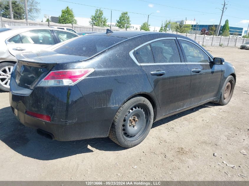 2010 Acura Tl VIN: 19UUA9F58AA801388 Lot: 12013666